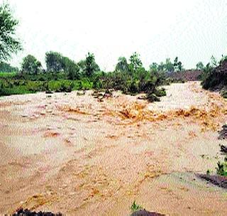 Heavy rain in Lonar taluka | लोणार तालुक्यात दमदार पाऊस