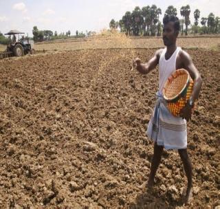 Sowing double sowing on 2.5 lakh hectares | अडीच लाख हेक्टरवर दुबार पेरणी