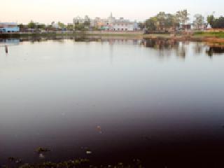 The existence of ponds threatens existence | तलावांचे अस्तित्व धोक्यात