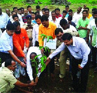 Karjat-Kalyan road will be green | कर्जत-कल्याण रस्ता होणार हिरवागार Karjat-Kalyan road will be green | कर्जत-कल्याण रस्ता होणार हिरवागार