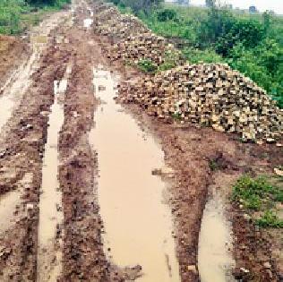 Use of non-mineral waste in the road of Irai (Borgaon) | इरई (बोरगाव) रस्ता खडीकरणात वनखनिजांचा वापर Use of non-mineral waste in the road of Irai (Borgaon) | इरई (बोरगाव) रस्ता खडीकरणात वनखनिजांचा वापर