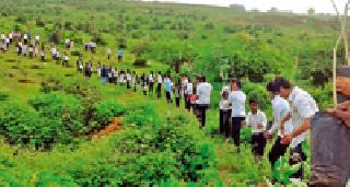 Promotion of trees and protection! : | झाडांचे संवर्धन अन् संरक्षणही ! : Promotion of trees and protection! : | झाडांचे संवर्धन अन् संरक्षणही ! :