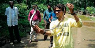 Naga Livedan: | नागाला जीवनदान : Naga Livedan: | नागाला जीवनदान :