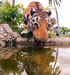 Tiger Water: | वाघ पाण्यावर :