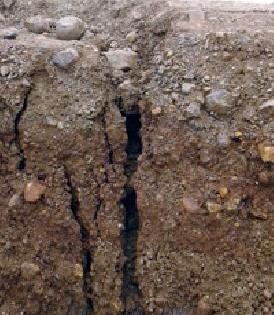 Even after the repair, the pajar went to the wall of the lake | डागडुजीनंतरही उमरी पाझर तलावाच्या भिंतीला गेले तडे