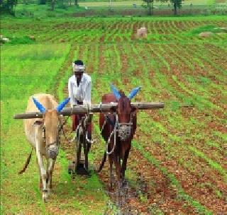 Over 2 lakh farmers quit farming in the last decade | गेल्या दशकभरात २ लाख शेतक-यांनी सोडली शेती