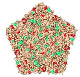 Polio virus vaccine from a British citizen's feces | ब्रिटिश नागरिकाच्या विष्ठेतून पोलिओ विषाणूचा उत्सर्ग