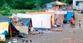 Blossom harvesting of laborers from Madhya Pradesh | मध्य प्रदेशातून मजूर आणत केली गवताची कापणी Blossom harvesting of laborers from Madhya Pradesh | मध्य प्रदेशातून मजूर आणत केली गवताची कापणी