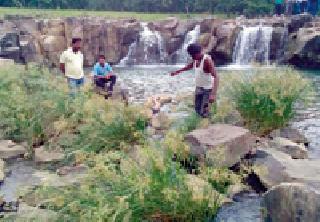 Youth's death in submergence in Panchadhara Falls | पंचधारा धबधब्यात बुडून युवकाचा मृत्यू Youth's death in submergence in Panchadhara Falls | पंचधारा धबधब्यात बुडून युवकाचा मृत्यू
