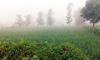 Nature beauty: | निसर्ग सौंदर्य : Nature beauty: | निसर्ग सौंदर्य :