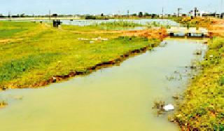 The place for the pond sold | तलावाची जागाच विकून टाकली