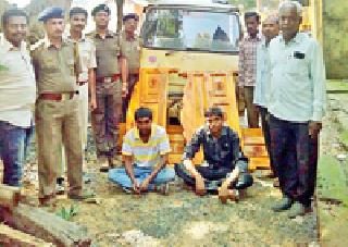 Sewage seized; Both arrested | सागवान जप्त; दोघांना अटक Sewage seized; Both arrested | सागवान जप्त; दोघांना अटक
