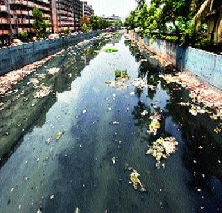 Nalsafai's Scam Fores | नालेसफाईच्या घोटाळ्याचा फार्स