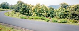 Wat green ... | वाट हिरवी... Wat green ... | वाट हिरवी...