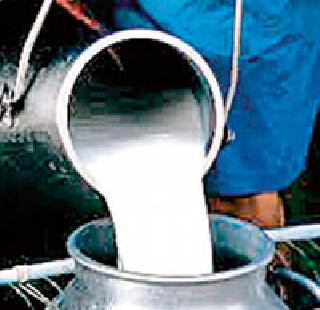 22 thousand liters of milk export | २२ हजार लिटर दुधाची निर्यात