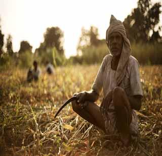 Farmer's attention is now on sowing of rabi crops! | शेतक-यांचे लक्ष आता रब्बी पिकांच्या पेरणीवर!