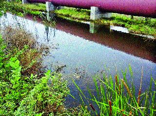 Carnadala to the water leakage of Girna dam water tank | गिरणा धरण जलवाहिनीच्या पाणी गळतीकडे काणाडोळा