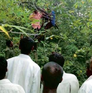 Due to the fear of the tiger, the tree can be two to two hours | वाघाच्या भीतीने दोन तरूण दोन तास झाडावर