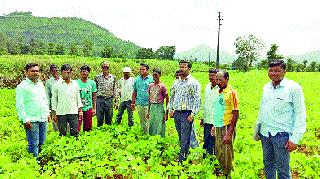 Inspection of the watershed development work of Veershit | वीरशेतला पाणलोट विकासकामांची पाहणी