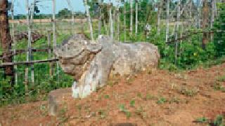 Memorial built by farmer's love | बैलाच्या प्रेमापोटी शेतकऱ्याने बांधले स्मारक Memorial built by farmer's love | बैलाच्या प्रेमापोटी शेतकऱ्याने बांधले स्मारक