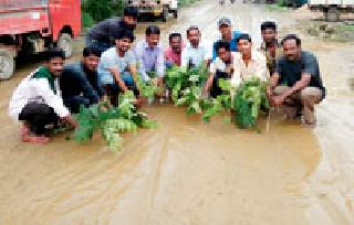 Plantation in the road potholes | रस्त्याच्या खड्ड्यात झाले वृक्षारोपण