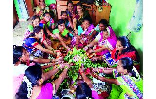 Celebrate the ecstatic zeal | हरतालिका उत्साहात साजरी