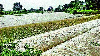 Renewal among peasants due to fall in rainfall | परतीच्या पावसामुळे शेतकऱ्यांमध्ये नवचैतन्य