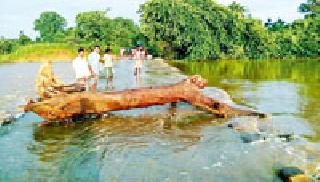 Vehicle detention due to wood on the river Valokancha | वैलोचना नदी पुलावरील लाकडामुळे वाहतुकीचा खोळंबा