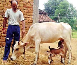Motherhood: | मातृत्व : Motherhood: | मातृत्व :