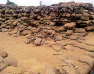 The paddy of 35 lakhs of open rain fell due to rain | उघड्यावरील ३५ लाखांचे धान पावसाने सडले The paddy of 35 lakhs of open rain fell due to rain | उघड्यावरील ३५ लाखांचे धान पावसाने सडले