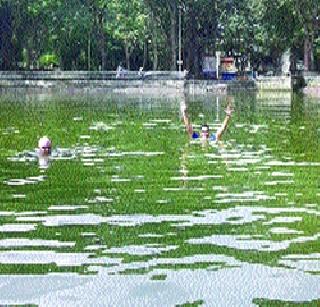Pond stagnation | तलावातील गाळाचा अडथळा Pond stagnation | तलावातील गाळाचा अडथळा