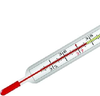 Mumbaikars 'fever' of epidemic diseases | मुंबईकरांना चढला साथीच्या रोगांचा ‘ताप’ Mumbaikars 'fever' of epidemic diseases | मुंबईकरांना चढला साथीच्या रोगांचा ‘ताप’