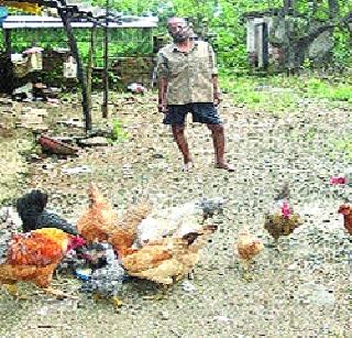 Such a model, the 67-year-old victim | असाही आदर्श, ६७ वर्षाच्या बळीराजाचा Such a model, the 67-year-old victim | असाही आदर्श, ६७ वर्षाच्या बळीराजाचा