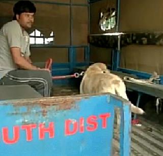 The police who went to catch Somnath Bharti came back with a good dog | सोमनाथ भारतींना पकडायला गेलेले पोलिस चक्क कुत्रा घेऊन परतले