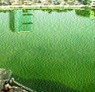The lake decorates the redfish | तलाव सुशोभिकरण रखडले लालफितीत The lake decorates the redfish | तलाव सुशोभिकरण रखडले लालफितीत