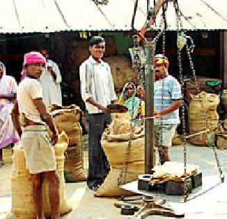 The government's hand in purchasing this year's paddy straw | यावर्षीच्या धान खरेदीत शासनाचा आखडता हात The government's hand in purchasing this year's paddy straw | यावर्षीच्या धान खरेदीत शासनाचा आखडता हात
