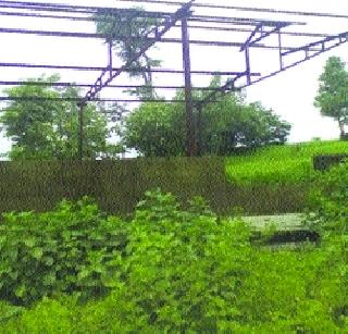 Construction of Horse cremation is incomplete | घोसाळी स्मशानभूमीचे बांधकाम अपूर्ण Construction of Horse cremation is incomplete | घोसाळी स्मशानभूमीचे बांधकाम अपूर्ण