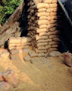 Auctioned rake | सडक्या धानाचा लिलाव Auctioned rake | सडक्या धानाचा लिलाव