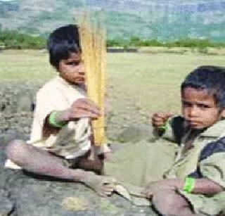 To prevent the deaths of Adivasi children, | आदिवासींचे बालमृत्यू टाळण्यासाठी गाभा समिती