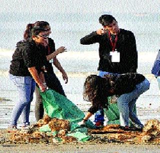 Cleanliness is beautiful! | चौपाट्या झाल्या स्वच्छ!