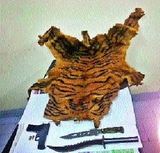 Four persons, including tigers, were arrested | वाघाच्या कातड्यासह चौघांना अटक
