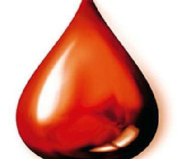 5,606 life blood donation | ५,६०६ रक्तपिशव्यातून जीवनदान