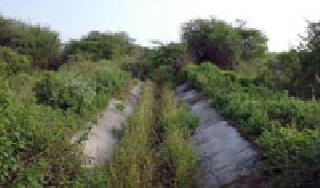 Kadhar is the main source of the Kalabis | खरीप सरला तरी कालव्यांची दैनाच Kadhar is the main source of the Kalabis | खरीप सरला तरी कालव्यांची दैनाच