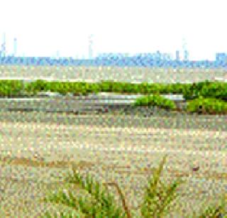 Increasing resistance to the port of growth! | वाढवण बंदराला विरोध वाढला! Increasing resistance to the port of growth! | वाढवण बंदराला विरोध वाढला!