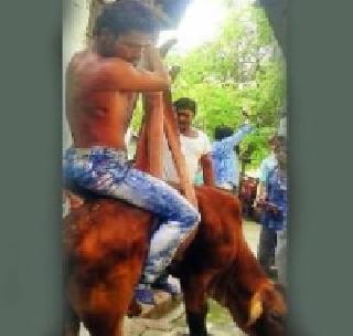 To save the cow, a Muslim youth jumps in the well | गाईला वाचवण्यासाठी मुस्लिम युवकाची विहीरीत उडी