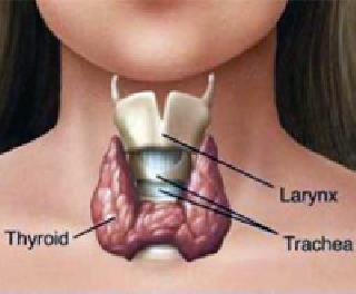 Thiroid patients in district | जिल्ह्यात वाढले थायरॉईडचे रूग्ण Thiroid patients in district | जिल्ह्यात वाढले थायरॉईडचे रूग्ण