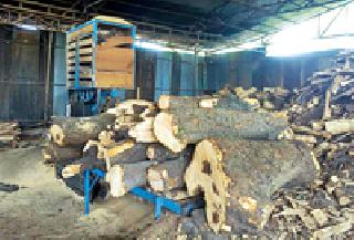Juggernaut 20 thousand wood seized | आरागिरण्यांवर धाडसत्र सुरू; २० हजारांचे लाकूड जप्त Juggernaut 20 thousand wood seized | आरागिरण्यांवर धाडसत्र सुरू; २० हजारांचे लाकूड जप्त
