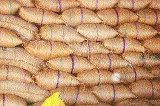 Rice in 15 Malegaon seized rice | मालेगावी १५ कट्टे रेशनिंगचा तांदूळ जप्त Rice in 15 Malegaon seized rice | मालेगावी १५ कट्टे रेशनिंगचा तांदूळ जप्त