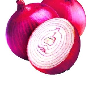 To the consumers directly in the onion field | शेताततला कांदा थेट ग्राहकांपर्यंत