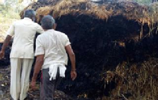 Burning of the smoke burnt to the ground | धानाचे पुंजणे जळून खाक Burning of the smoke burnt to the ground | धानाचे पुंजणे जळून खाक